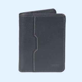 Elan Horizontal Card Holder- Blue