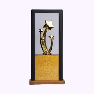 SALM Trophy-Black with Brown