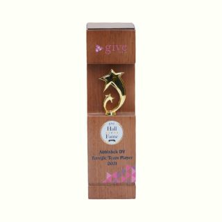 Nashira Trophy-Brown with Gold