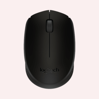 Logitech M171 Wireless Mouse-Black