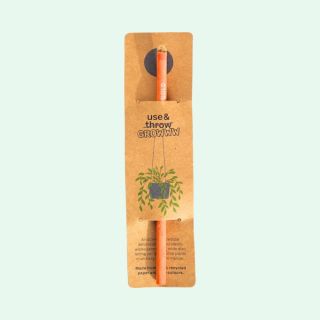 1 Seed Pencil with a cardholder Plantable Eco Scripter