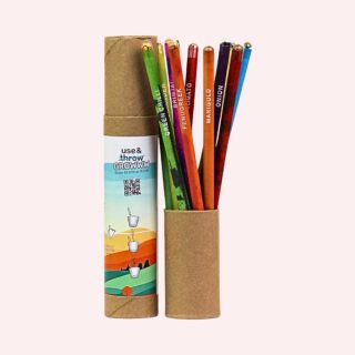 Garden Seed Pencil Set : 12pc