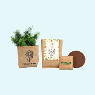 Inside Every Plant Grow Kit- Natural Brown