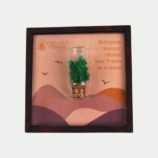 Forever Forest Nature's Stage Magnetic Frame