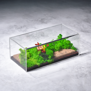Forever Forest Terrarium Preserved Forest Under Acrylic Display (Panorama)