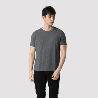 Rare Rabbit Round Neck T-Shirt-Grey Melange