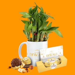 Offineeds Eco-Conscious Gifting Kit