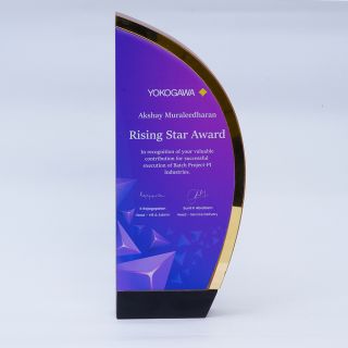 Sirius Trophy-Brown with Gold- 45 L